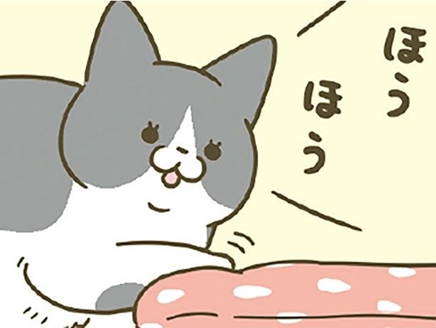 ほうほう