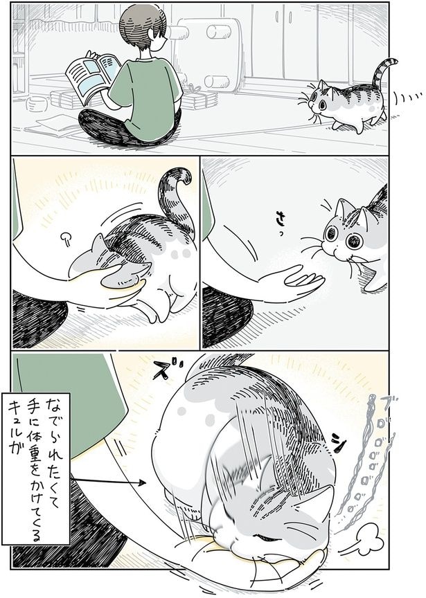 手に体重をかけてくる