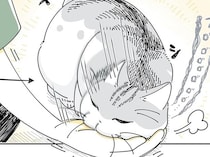 飼い主の手に体重をかけてくるネコ。ご機嫌そうなのに、急に冷静になる瞬間が