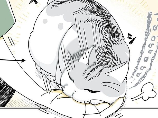 飼い主の手に体重をかけてくるネコ。ご機嫌そうなのに、急に冷静になる瞬間が