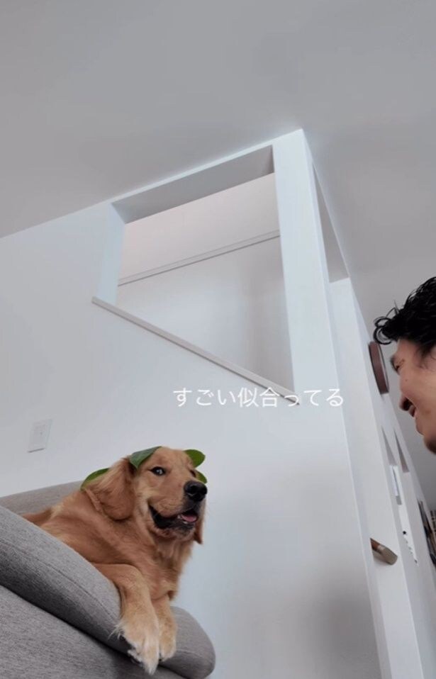 「それほどでもないよ~」とまんざらでもない▶ズームすると…(⇒次へ)