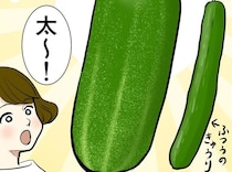 金沢生まれの「加賀太きゅうり」は、煮物やおみそ汁にぴったり！／季節を味わう､夫婦の台所