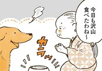 いつも完食、でも気になる。レトリバーを見守るおばあちゃんの優しさ