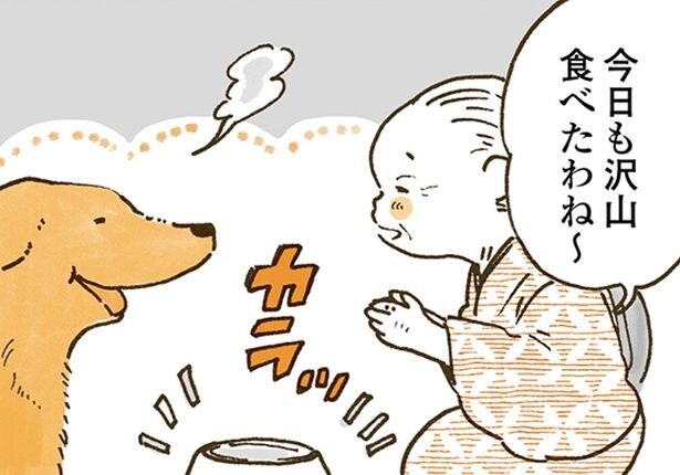 いつも完食、でも気になる。レトリバーを見守るおばあちゃんの優しさ