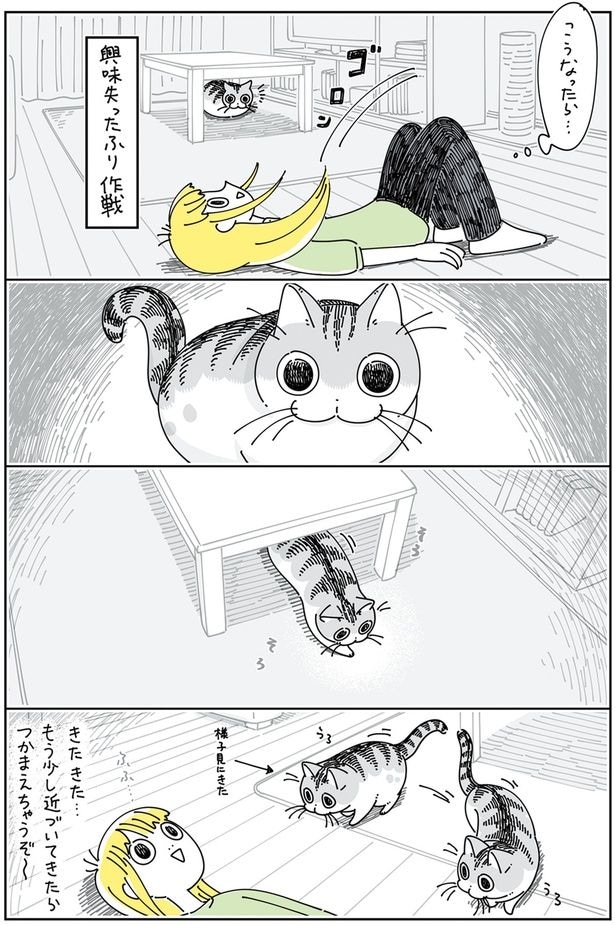 つかまえちゃうぞ～