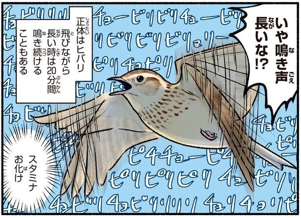 スタミナお化け