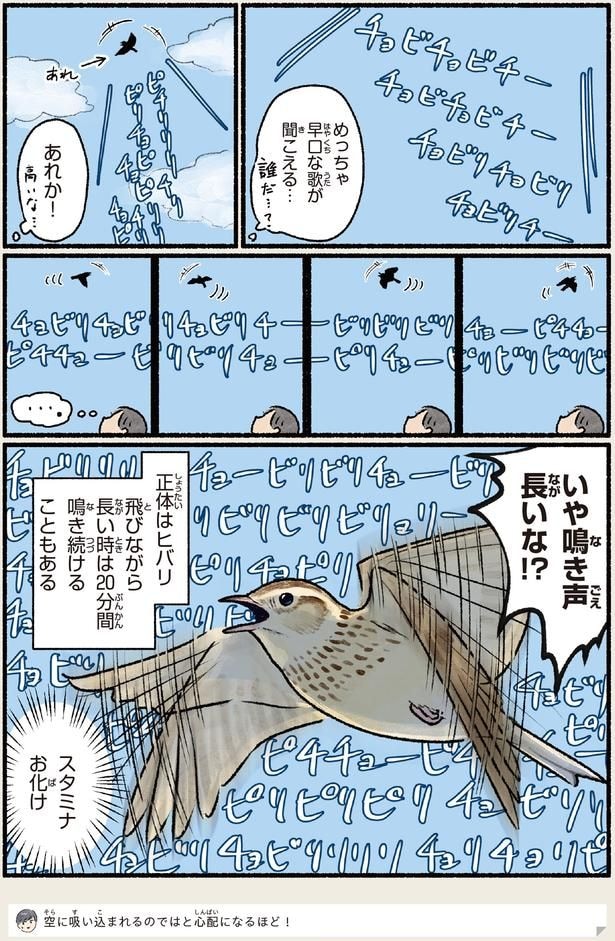 いや鳴き声長いな！？