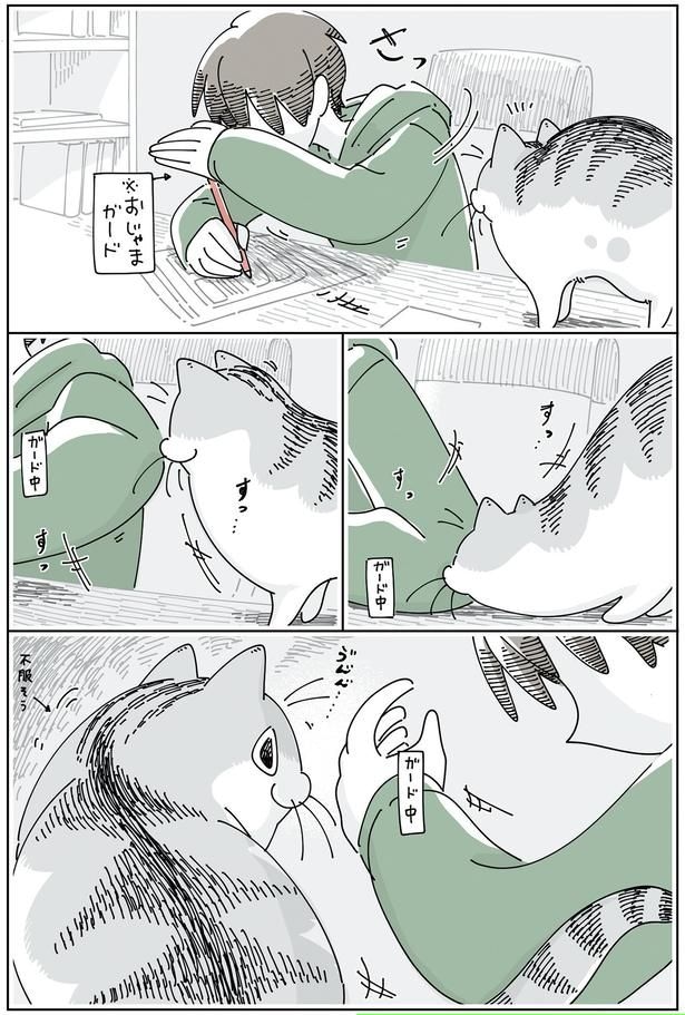 おじゃまガード
