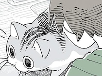 どちらが優勢？ 作業中に「ぬっ」と現れるネコ VS お邪魔行為をガードする飼い主