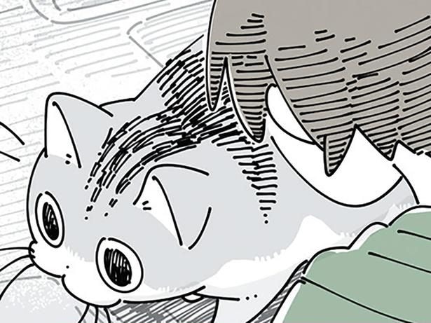 どちらが優勢？ 作業中に「ぬっ」と現れるネコ VS お邪魔行為をガードする飼い主
