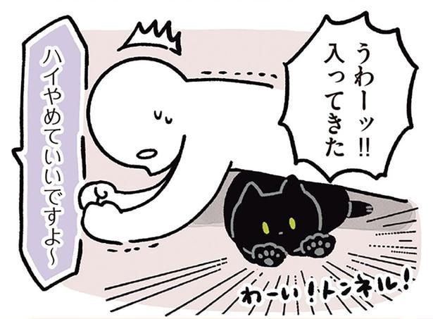 うわーッ!!入ってきた