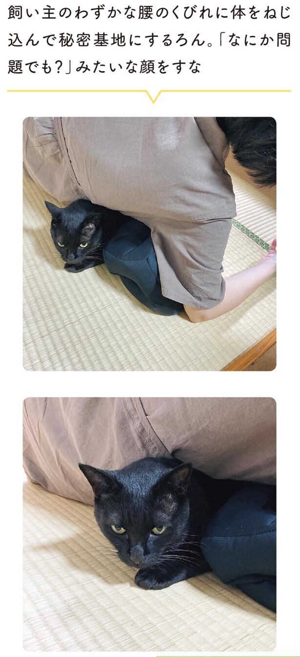 「なにか問題でも?」