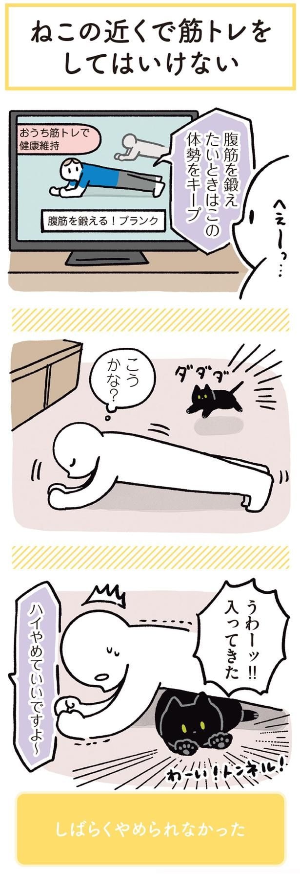 うわーッ!!入ってきた