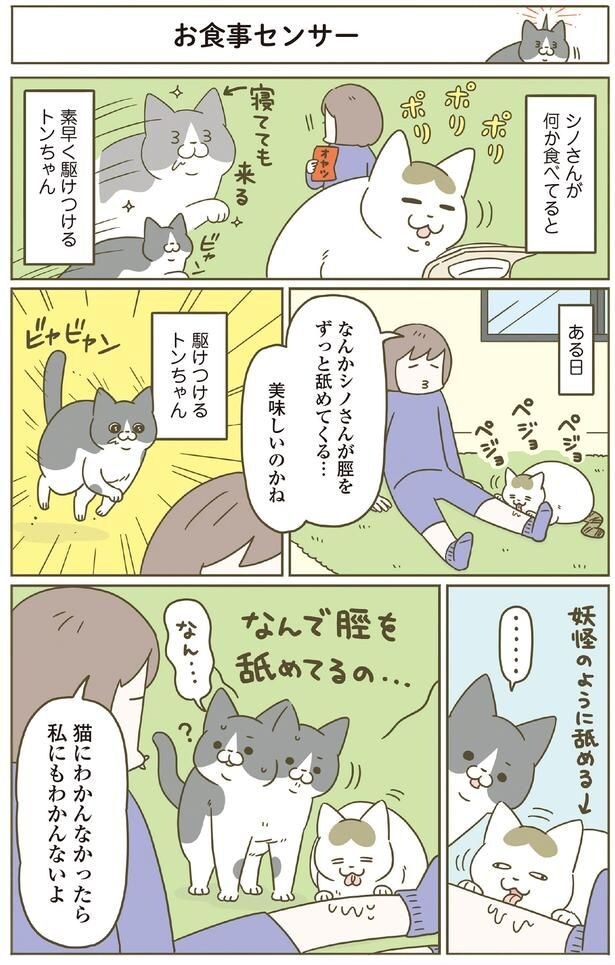 なんで舐めてるの…?