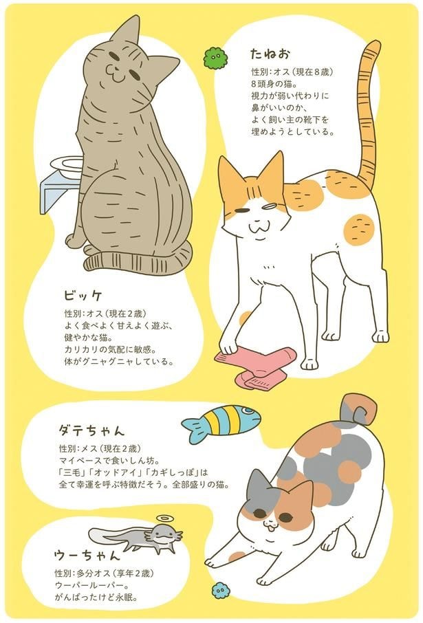 動物紹介