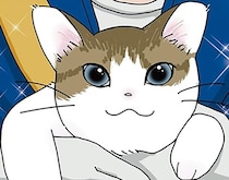 「もう猫は飼わない」と口にした、その直後。夫の心を動かした、子猫との出会い／世界一幸せな飼い主にしてくれた猫（1）