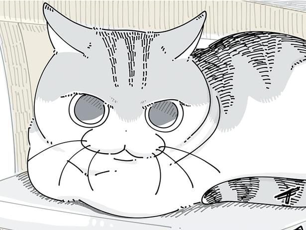 怖がっているのに…?