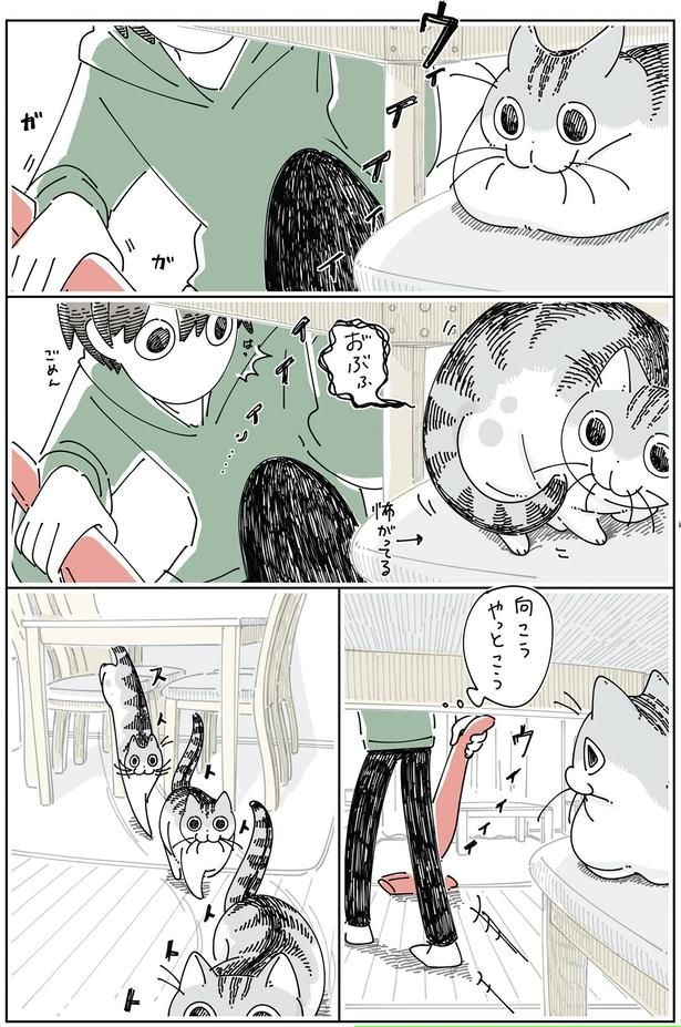 怖がってる
