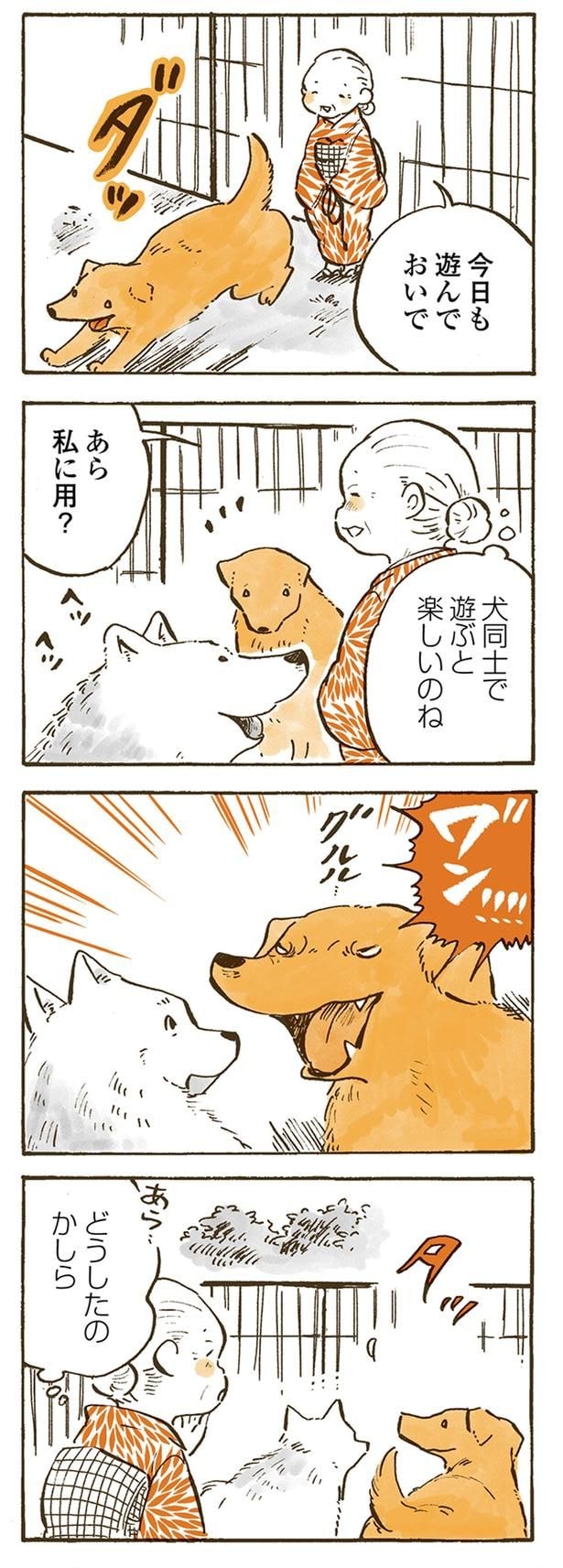 今日も遊んでおいで