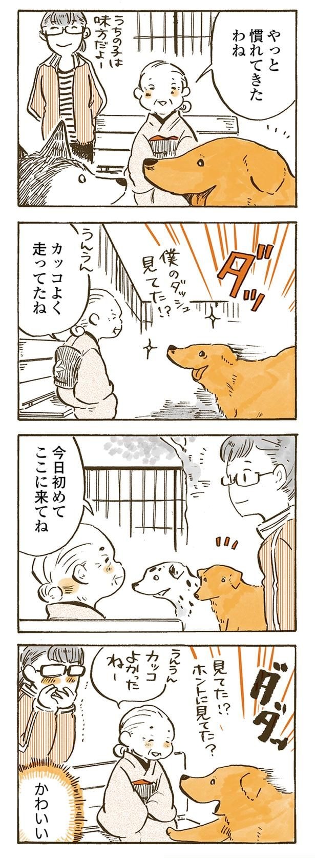 カッコよく走ってたね