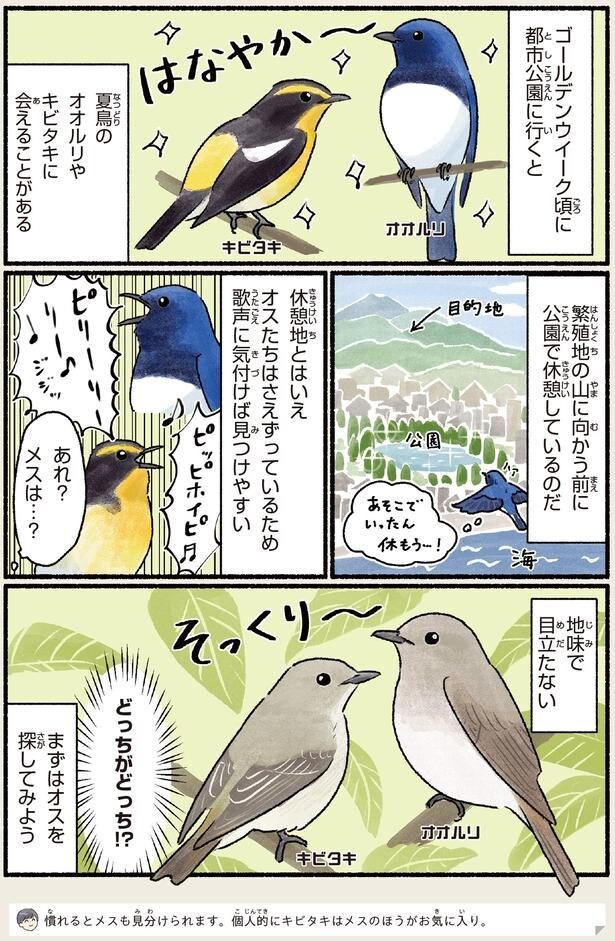 どっちがどっち！？