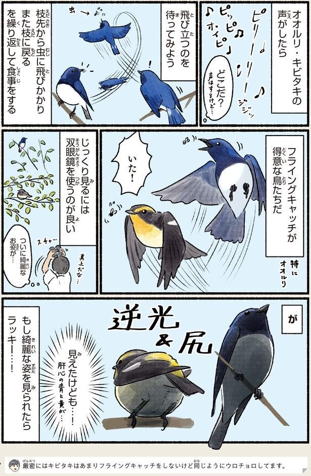見えたけども…！