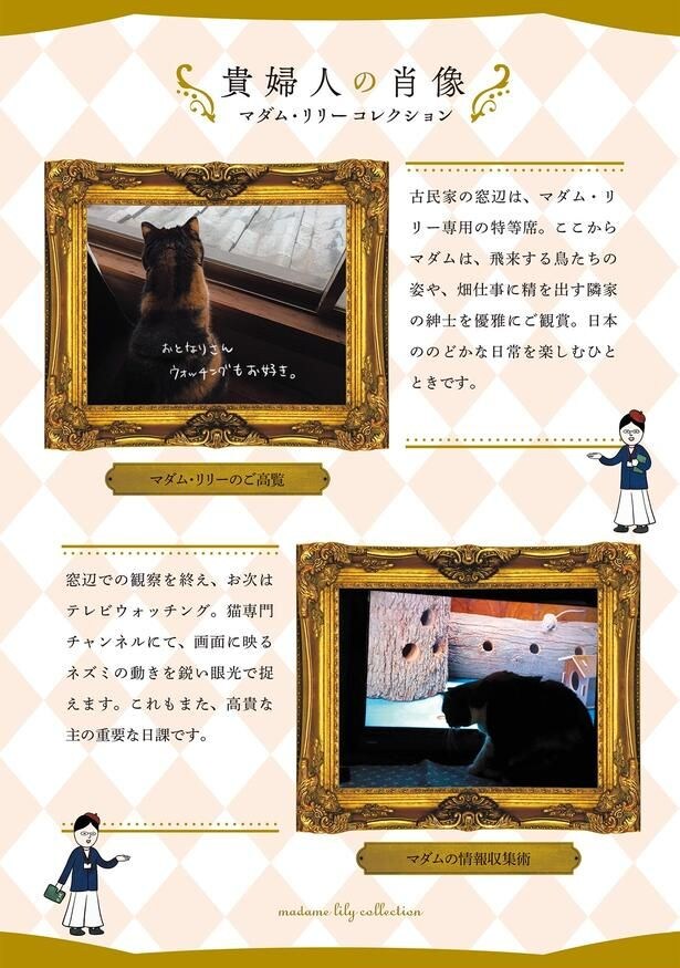 貴婦人の肖像