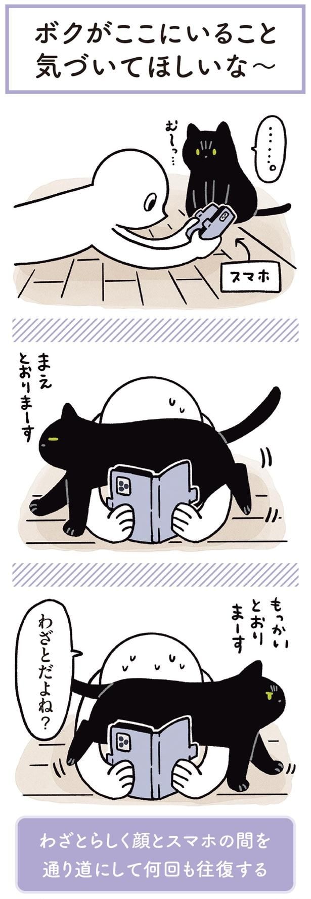 わざとだよね？