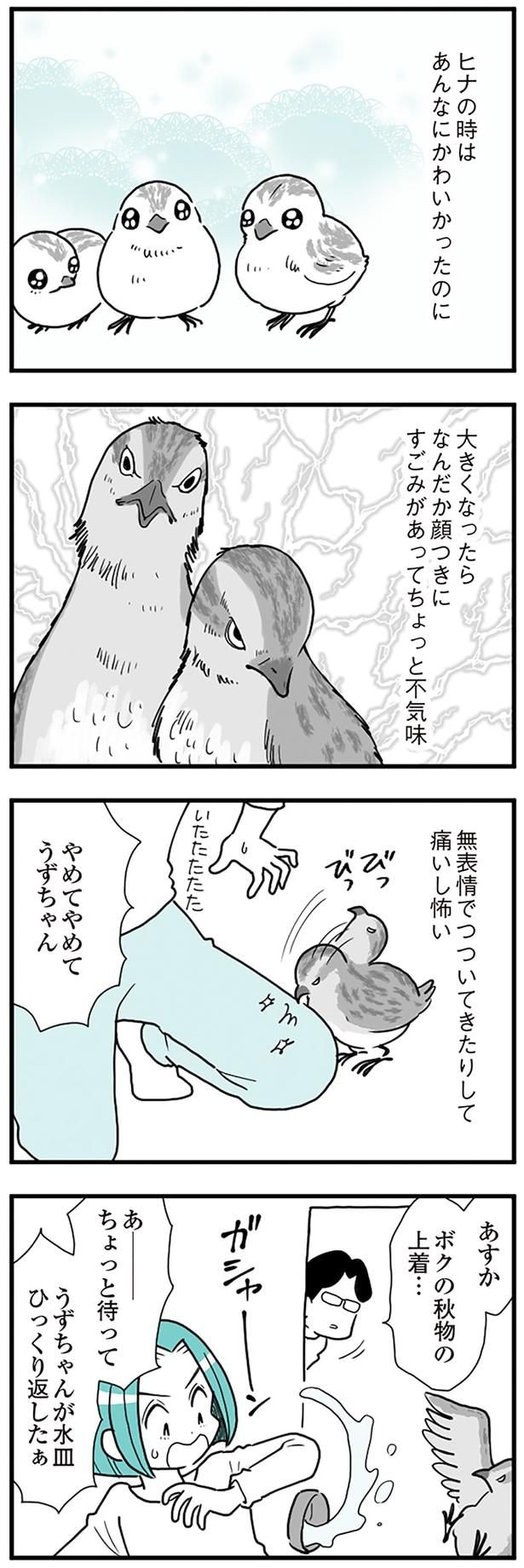 あんなにかわいかったのに