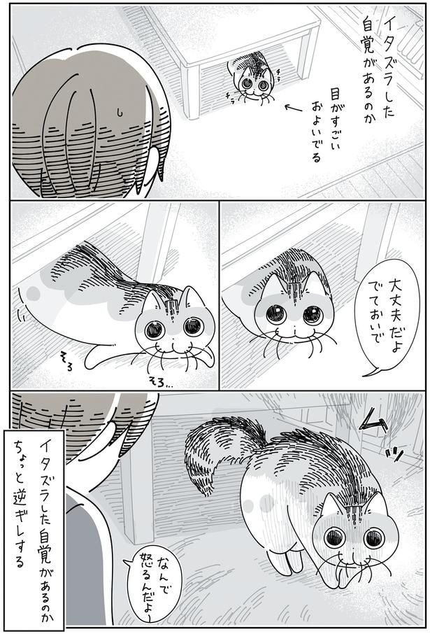 ちょっと逆ギレ