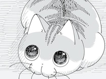 目が泳ぎまくってますね。イタズラをした自覚のあるネコの上目遣い