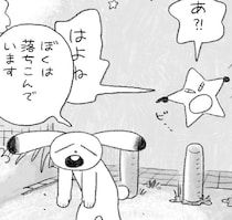 「ぼくは落ち込んでいます」夏の夜、散歩に出たら秒で元気になったワケ