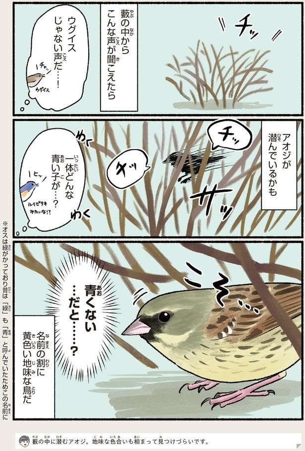一体どんな青い子が…？