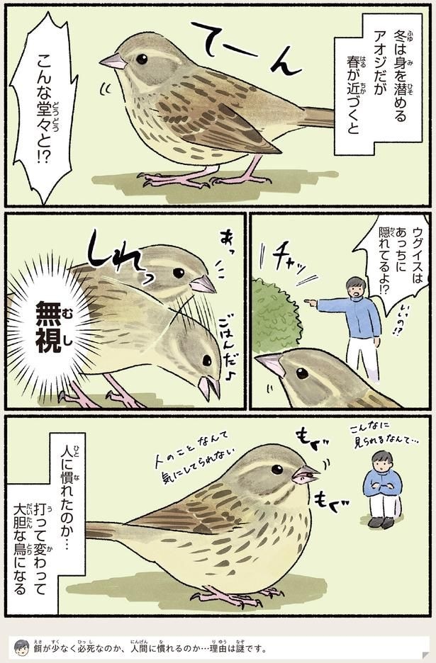 こんな堂々と！？
