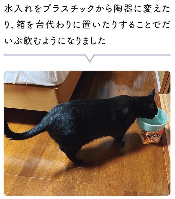 だいぶ飲むようになりました