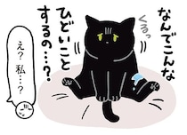 水を飲んでいたはずが…黒猫ろんが突然しょんぼりした理由