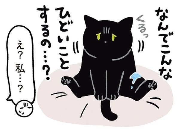 水を飲んでいたはずが…黒猫ろんが突然しょんぼりした理由