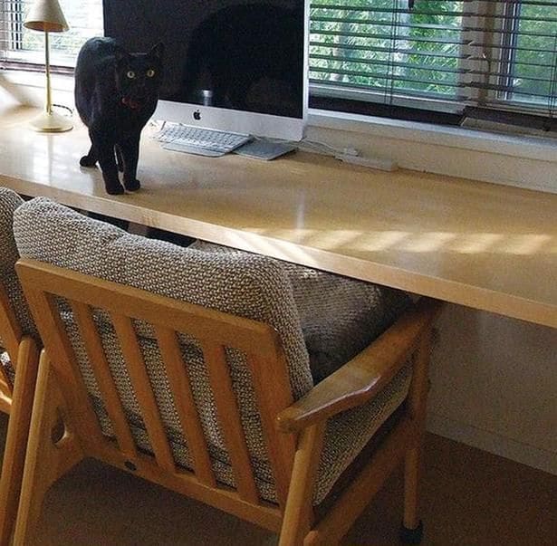 猫の安全のためにも、片っ端から片付けて「がらーん」とした状態に