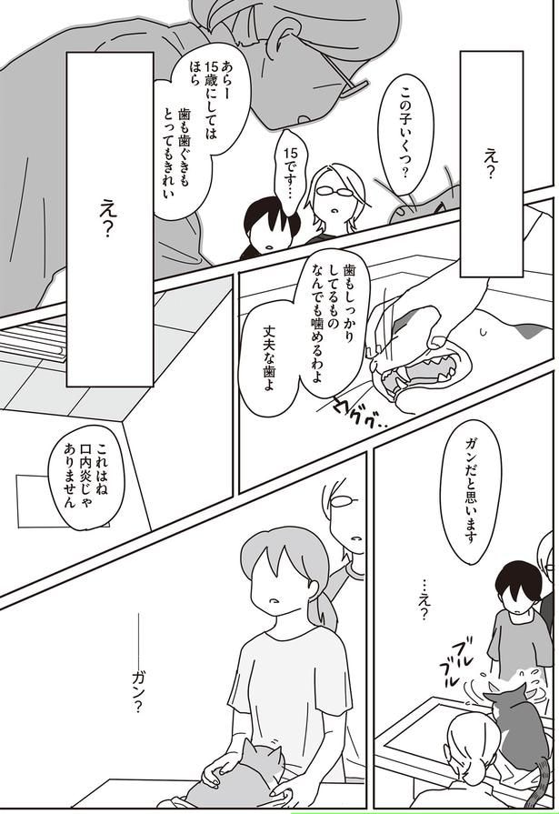 これはね 口内炎じゃありません