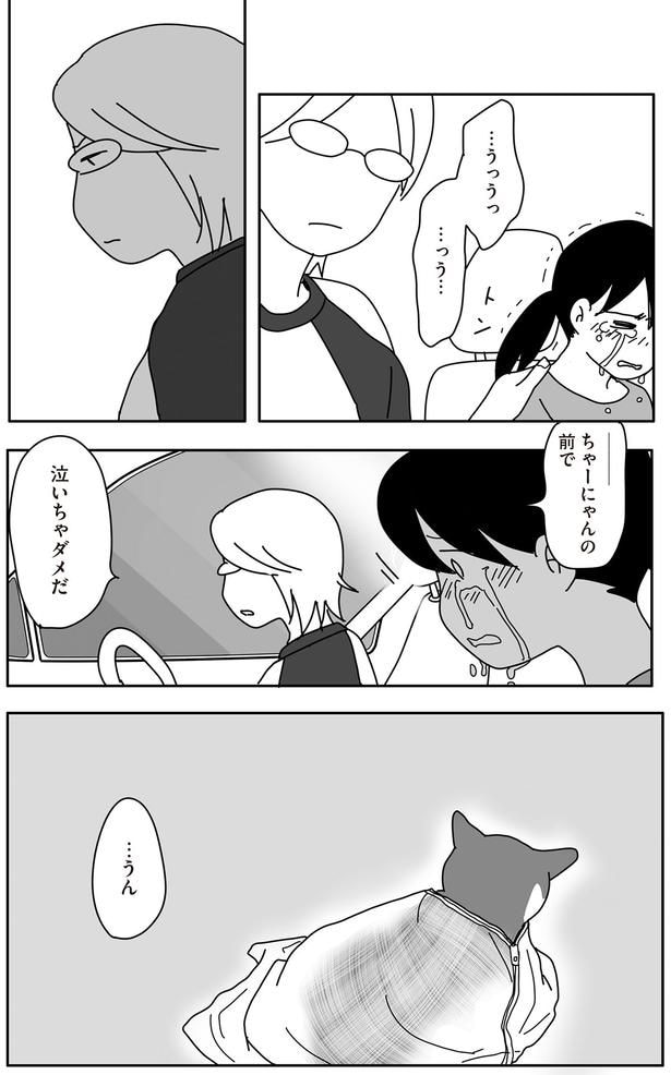 ちゃーにゃんの前で泣いちゃダメだ