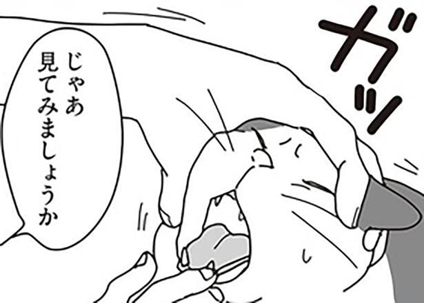 口内炎ではなく病気だった。愛猫の診断結果に、頭が真っ白になって/世界一幸せな飼い主にしてくれた猫(7)