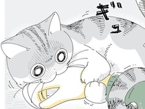 飼い主のゲーム中に構ってくれるネコ。とにかく可愛いけど少し不便で