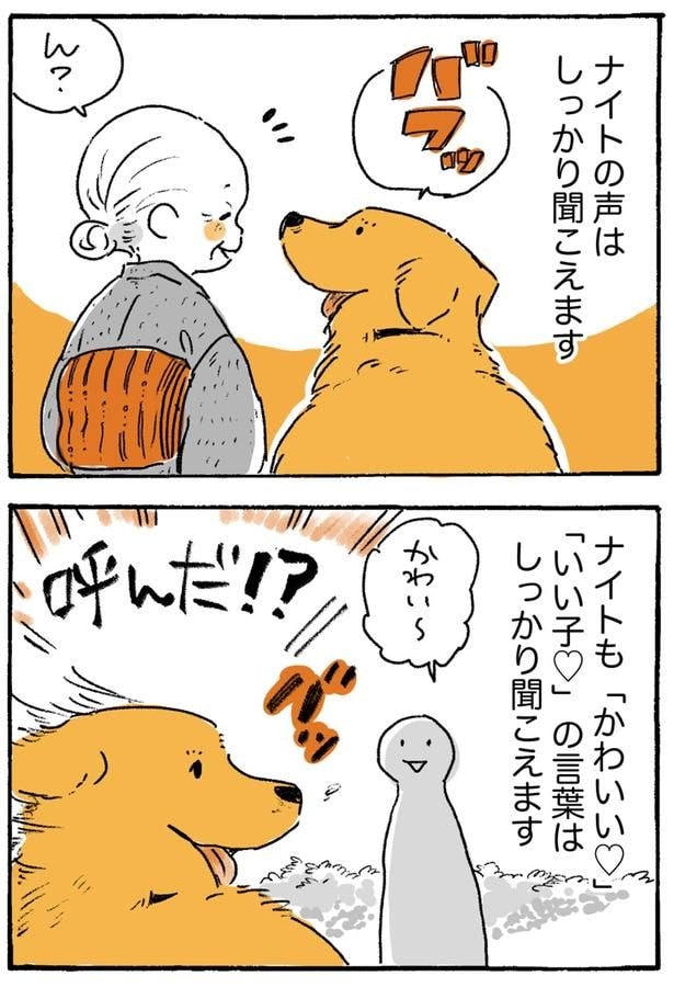呼んだ！？