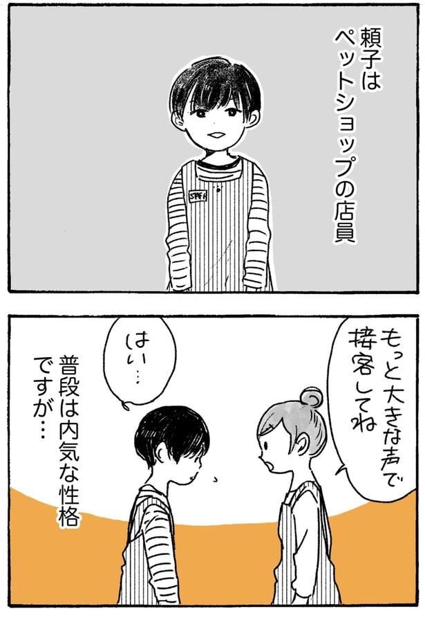 ペットショップの店員