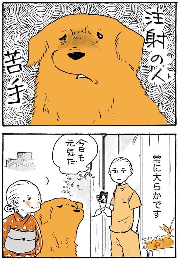 常に大らかです