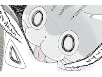 「興味なくすまで隠れとこ」とにかくずっとやられるネコの「顔ザリザリ」