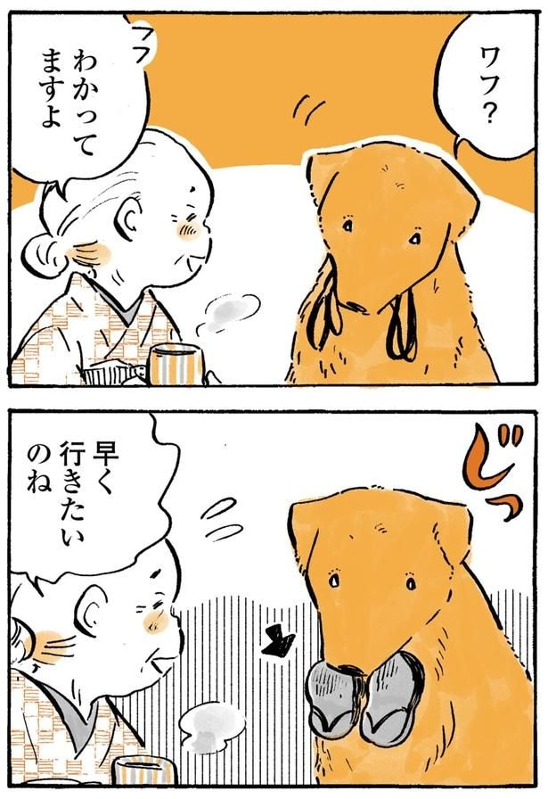 わかってますよ