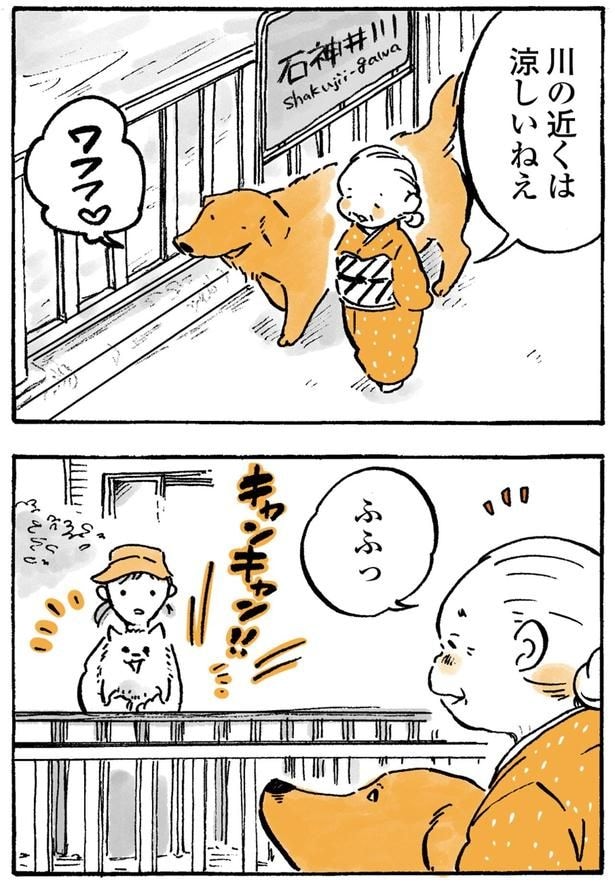 涼しいねえ