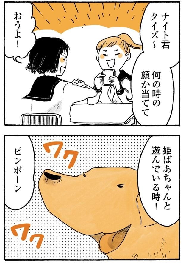 ナイト君クイズ～
