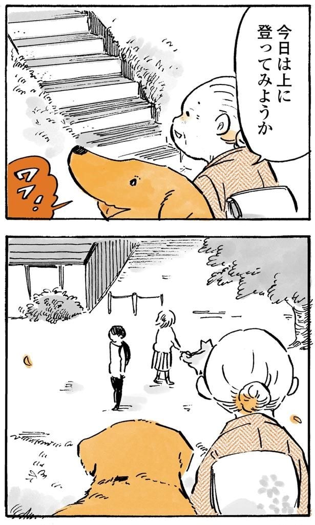 登ってみようか